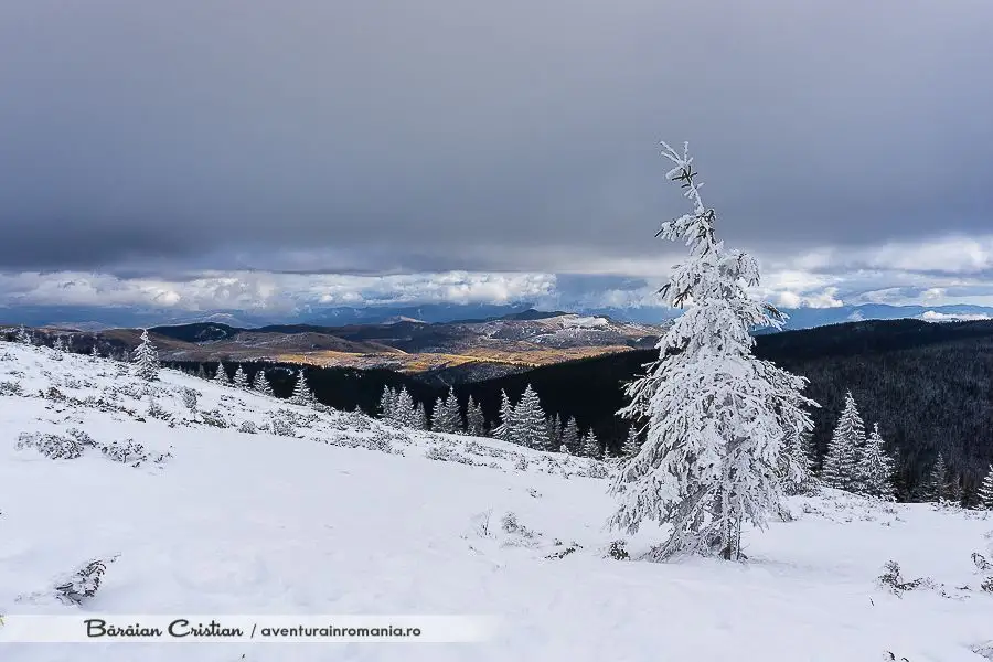 Coborâre Vf. Buscat - Băișoara