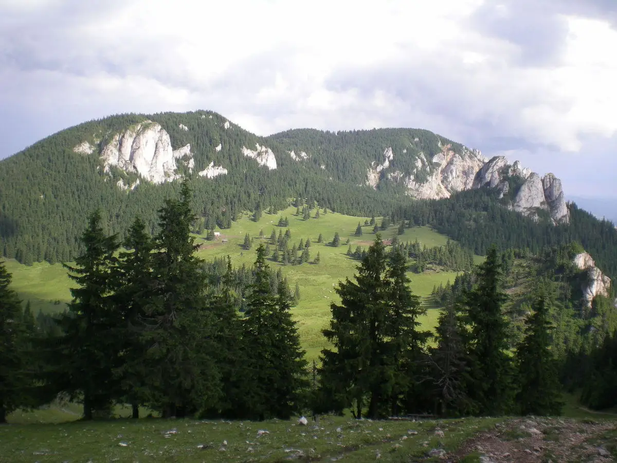 Circuit Piatra La Pândă - Piatra Singuratică - Vf. Hășmașu Mare - Poiana Albă
