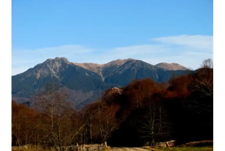 Groşii Țibleşului - Codrul Secular - Vf. Arcer - Vf. Țibleş - Vf. Bran