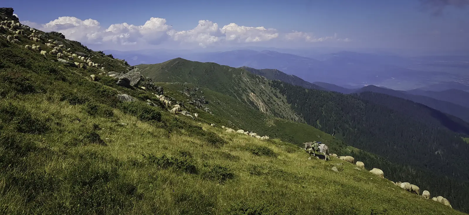 Manastirea Turnu Rosu - Chica Pietrelor - Vârful Tătaru