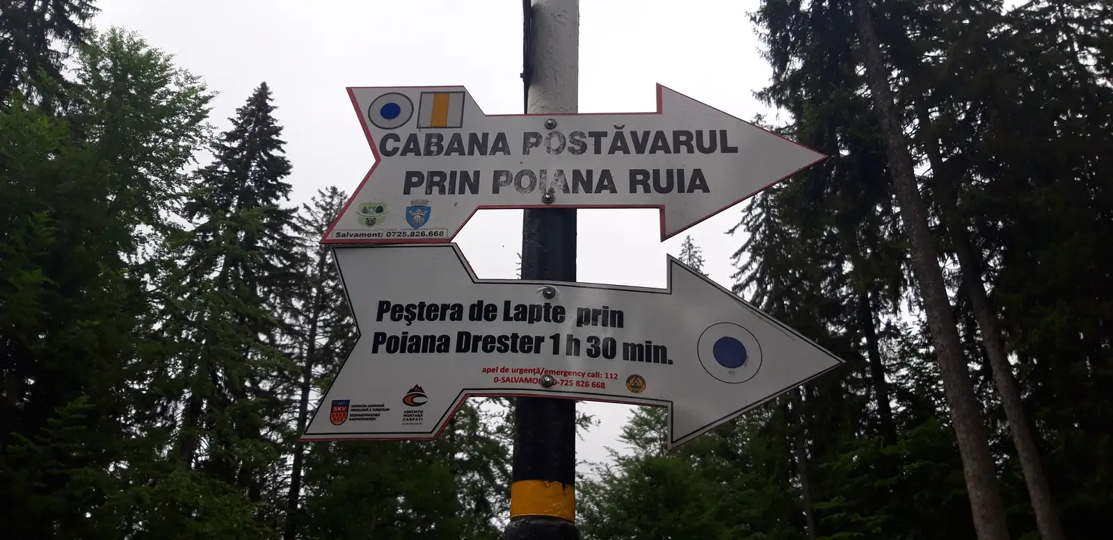 Poiana Brasov - Vf. Postavaru - Poiana Brasov