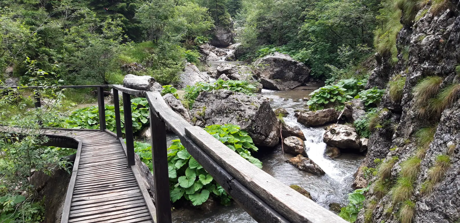 Cheile Zanoagei - Lacul Scropoasa - Cascada 7 Izvoare - Cheile Orzei 