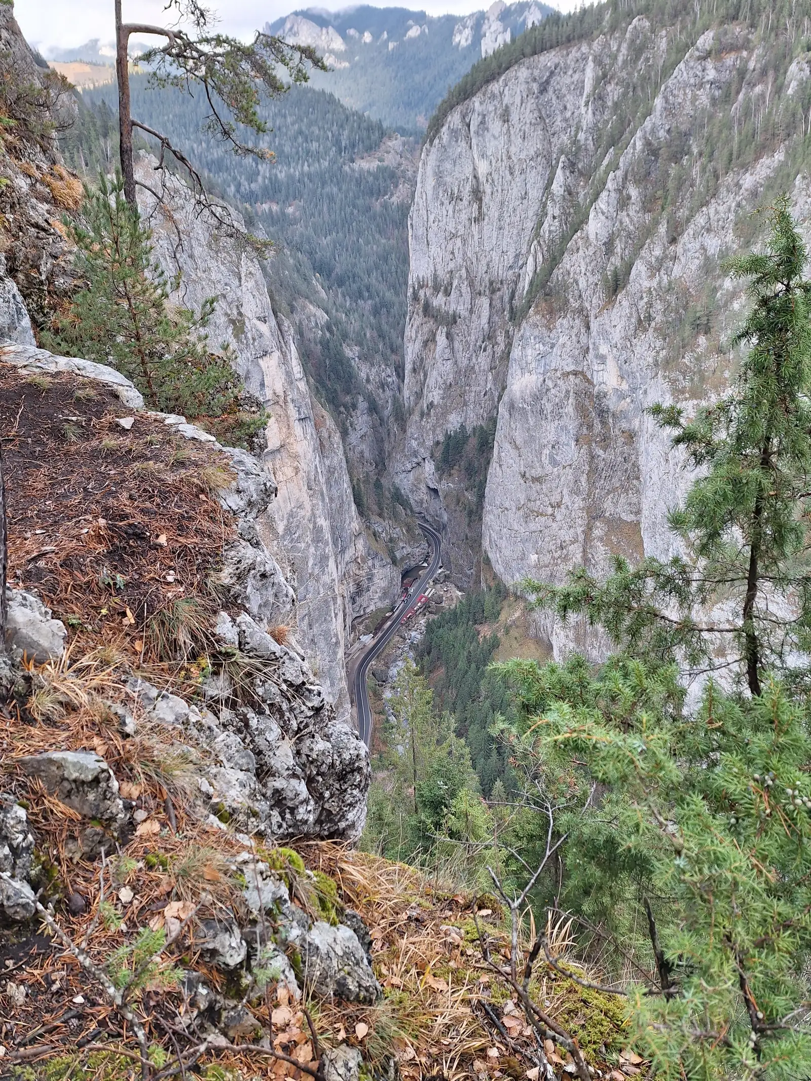 Traseu turistic Bicăjelul - Șaua Țifrea