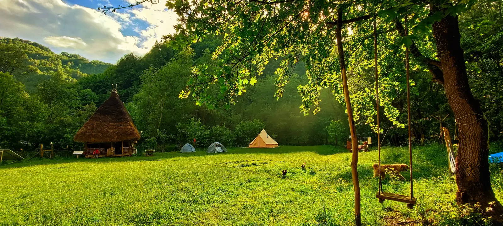 Brădești → Cheia: Traseu spre Wild River Glamping Apuseni