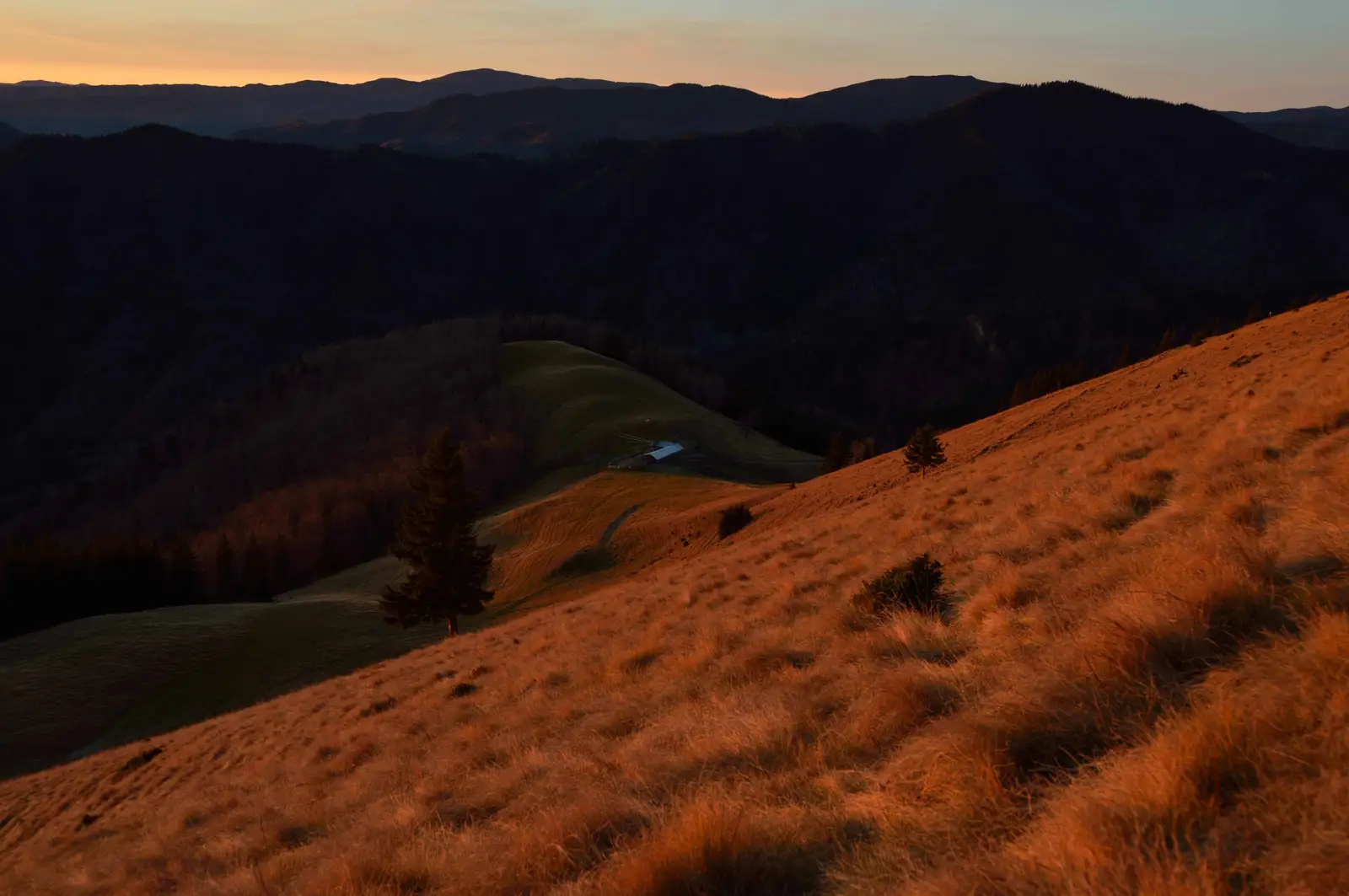 Tulnici - Vârful Pietrosu - Nereju Mic