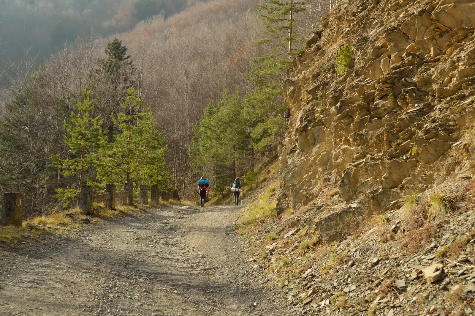 Baza Salvamont Păuleşti - Muntele Coza - Şaua Golici