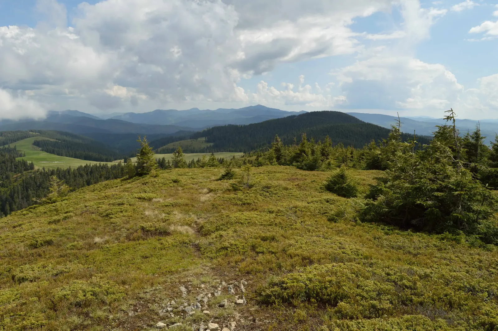 Cabanele Giurgiu - Giurgiu II - Refugiul Centenar (Punctul Frăţiei Neamului Românesc)