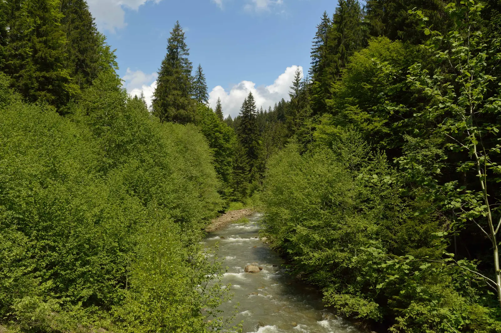 Refugiul Centenar (Punctul Frăţiei Neamului Românesc) - Varlaam