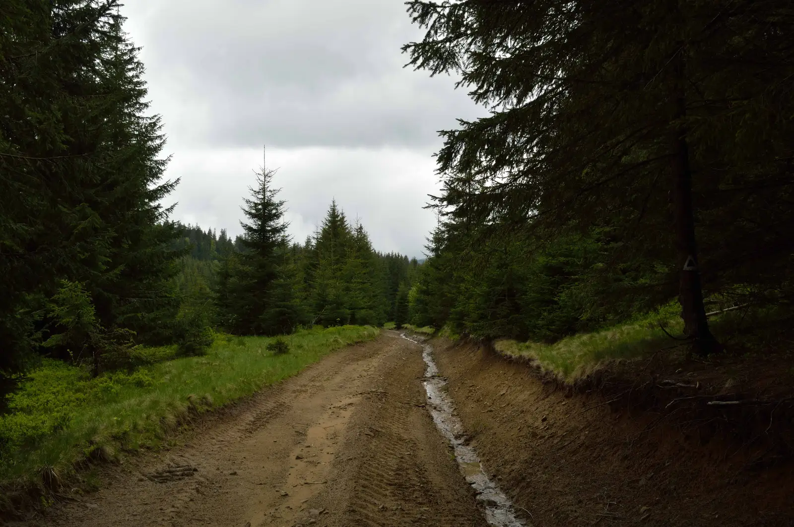Comandău - Refugiul Centenar (Punctul Frăţiei Neamului Românesc)