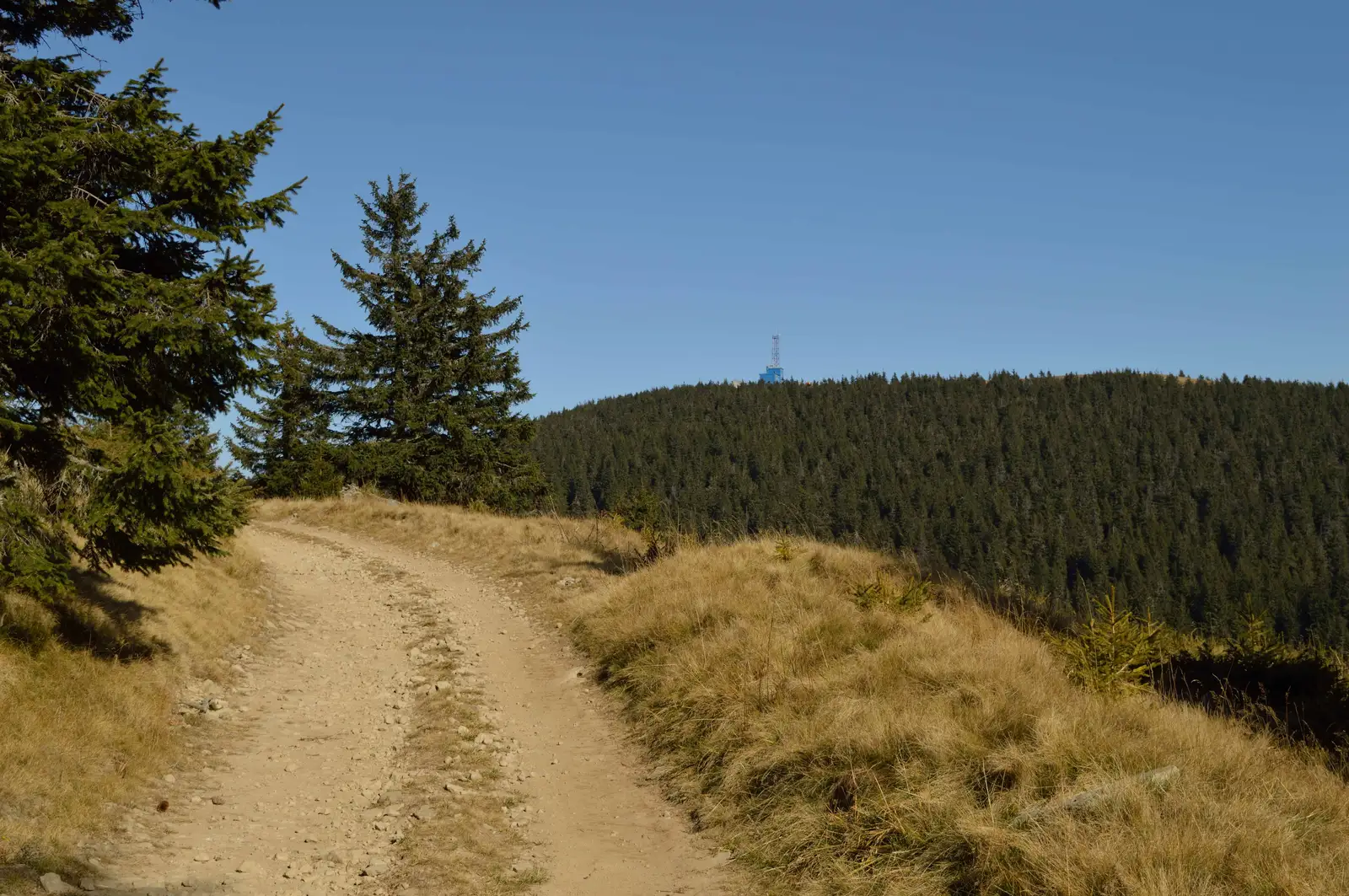 Comandău - sub Vârful Manişca Mare - Vârful Lăcăuţi
