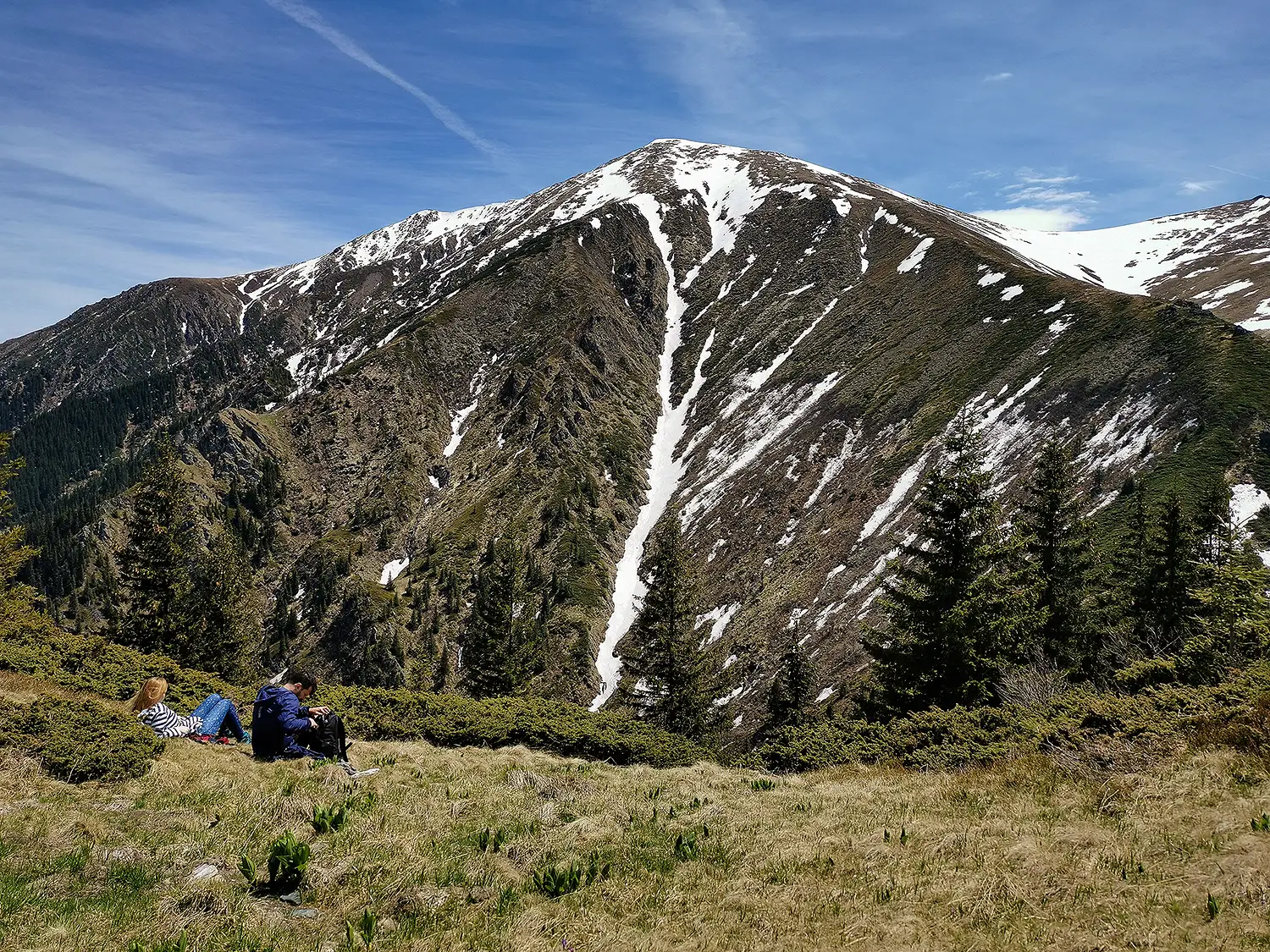 Sebeșu De Sus - Cabana Suru - Vf. Suru