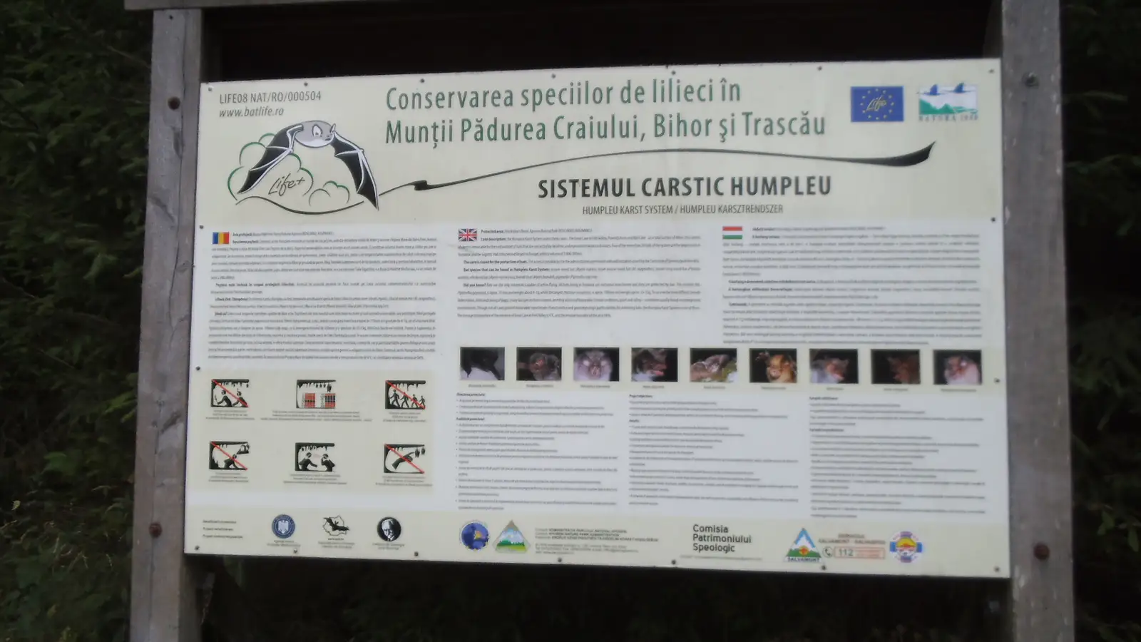 Cotul Firii - Pestera Humpleu - Poiana Ovala - Cotul Firii