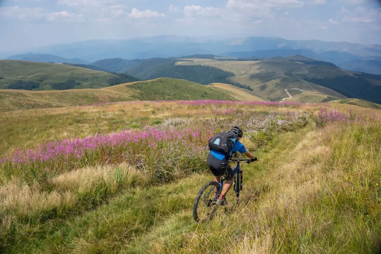 Pasul Bratocea - Teșila - Pasul Bratocea