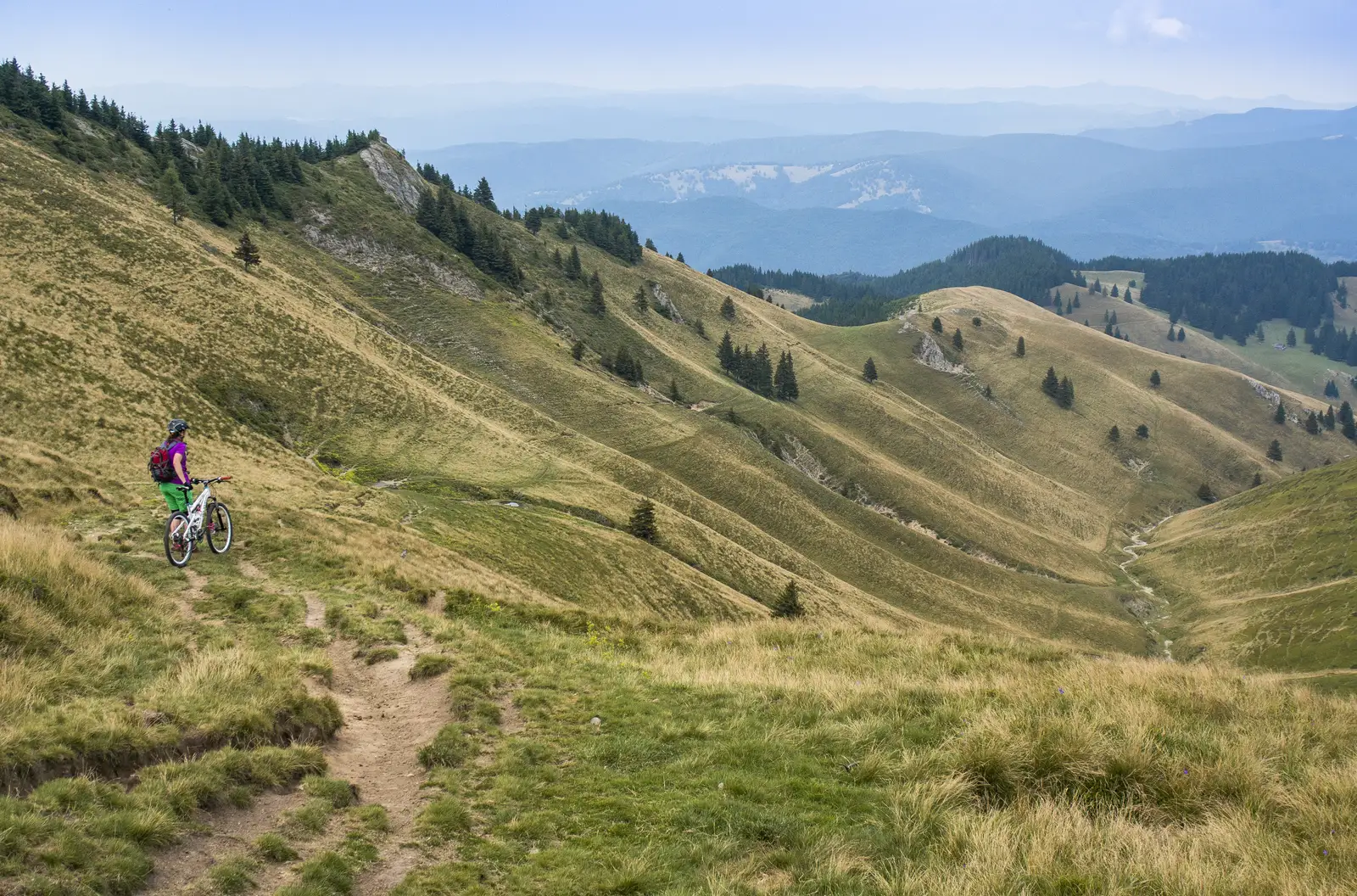 DN 1A (Cheia) - Culmea Văii Stânii - DN1A (Cheia)