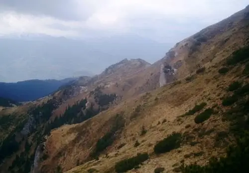 Circuit scurt Muntele Cearcănu