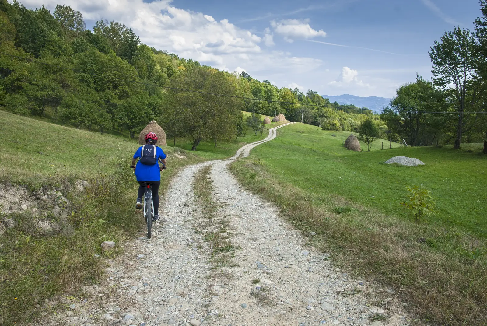 Petrova - Mănăstirea Petrova - Petrova