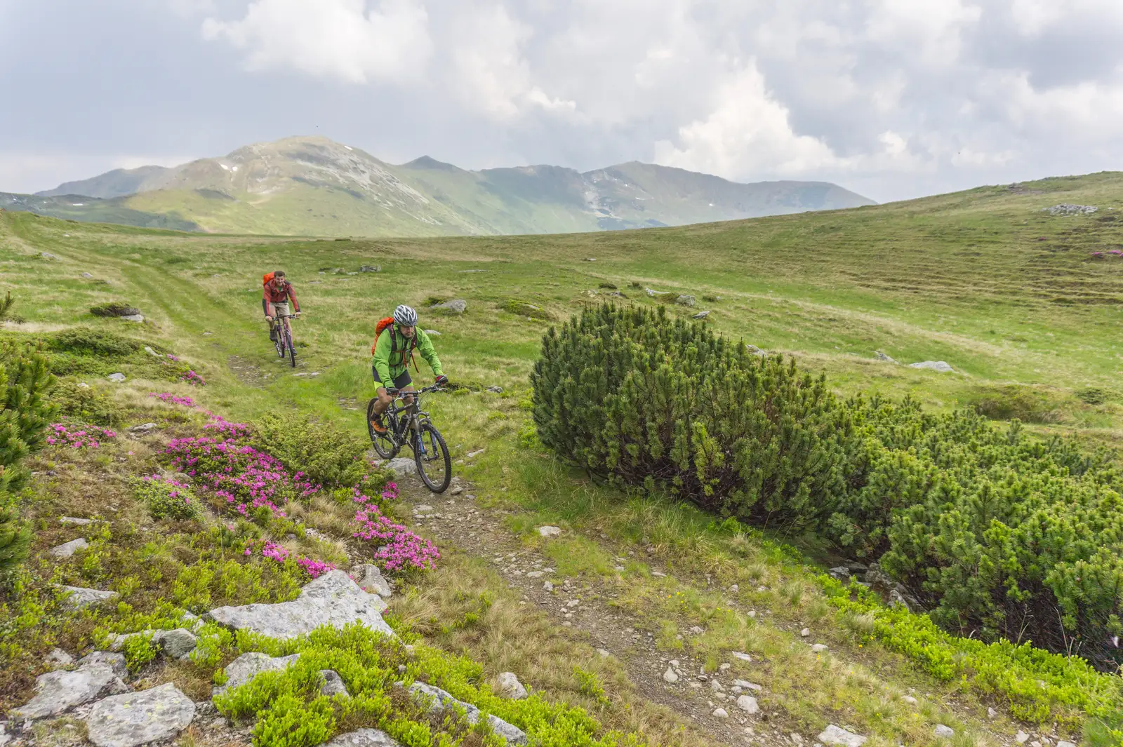 Borşa - Şaua Gărgălău - Borşa