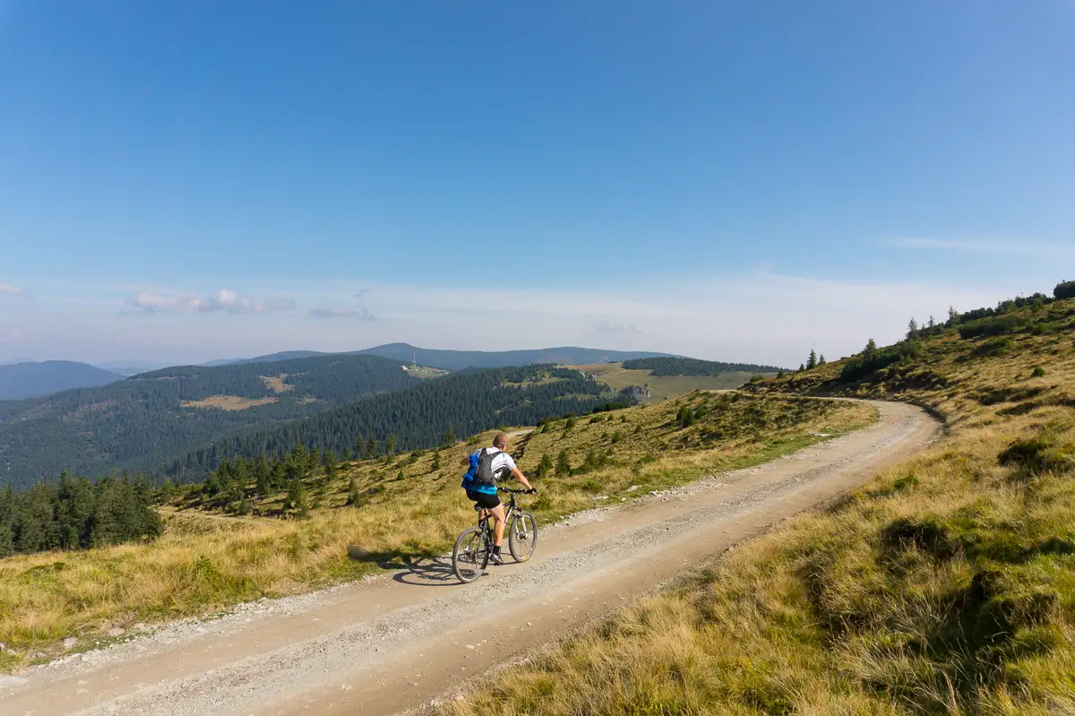 Pasul Prislop - Valea Izvorul Ursului - Pasul Prislop