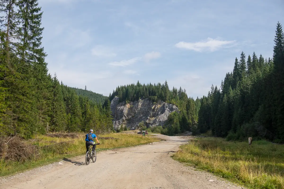 Seşuri - Valea Ţibău - Şesuri