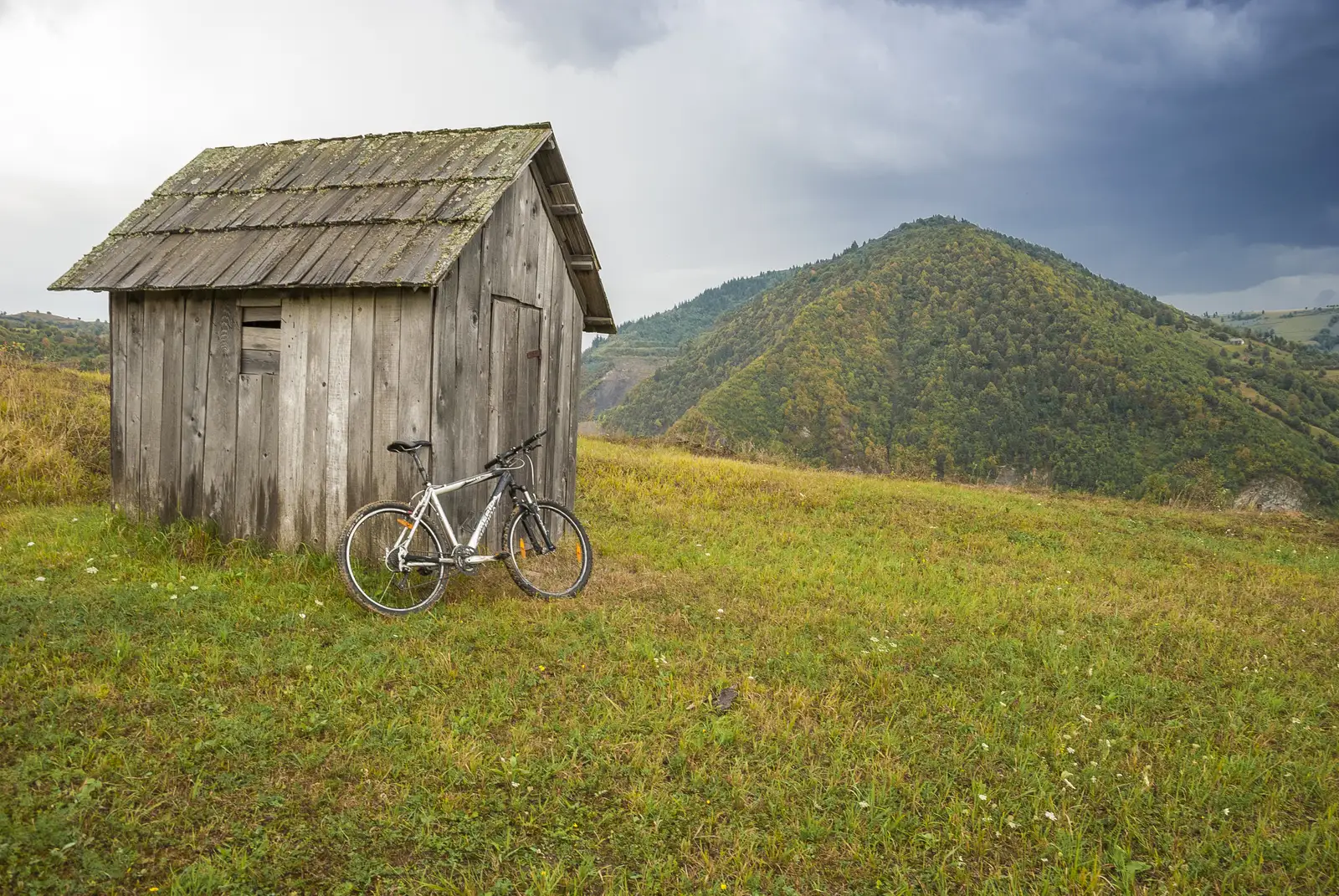 Rodna - Poiana Ilvei - Rodna