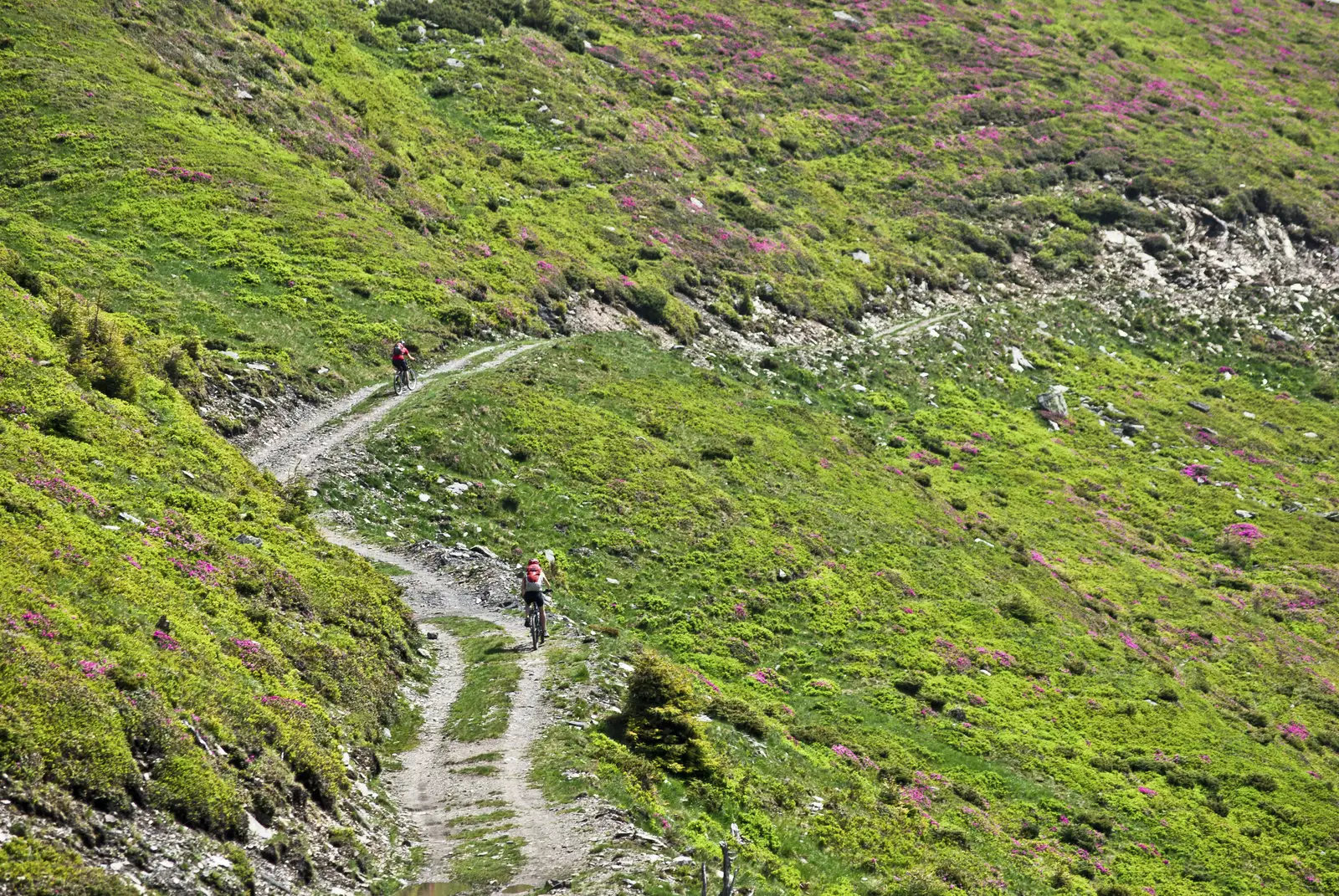 Valea Someşului Mare - Culmea Munţilor Suhard - Valea Someşului Mare
