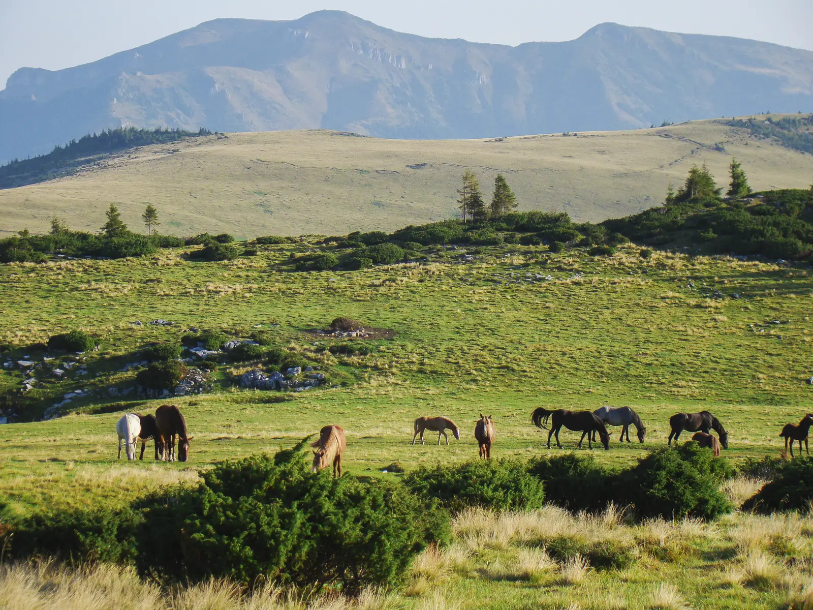Complexul Turistic Borşa - Poiana Ştiol - Şaua Gărgălău