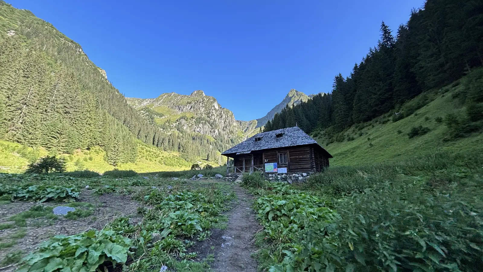 Stâna lui Burnei – Valea Rea – Vf Viștea Mare – Vf Moldoveanu – Vf Roșu – Vf Galbena – Lacul Galbena – Stâna lui Burnei