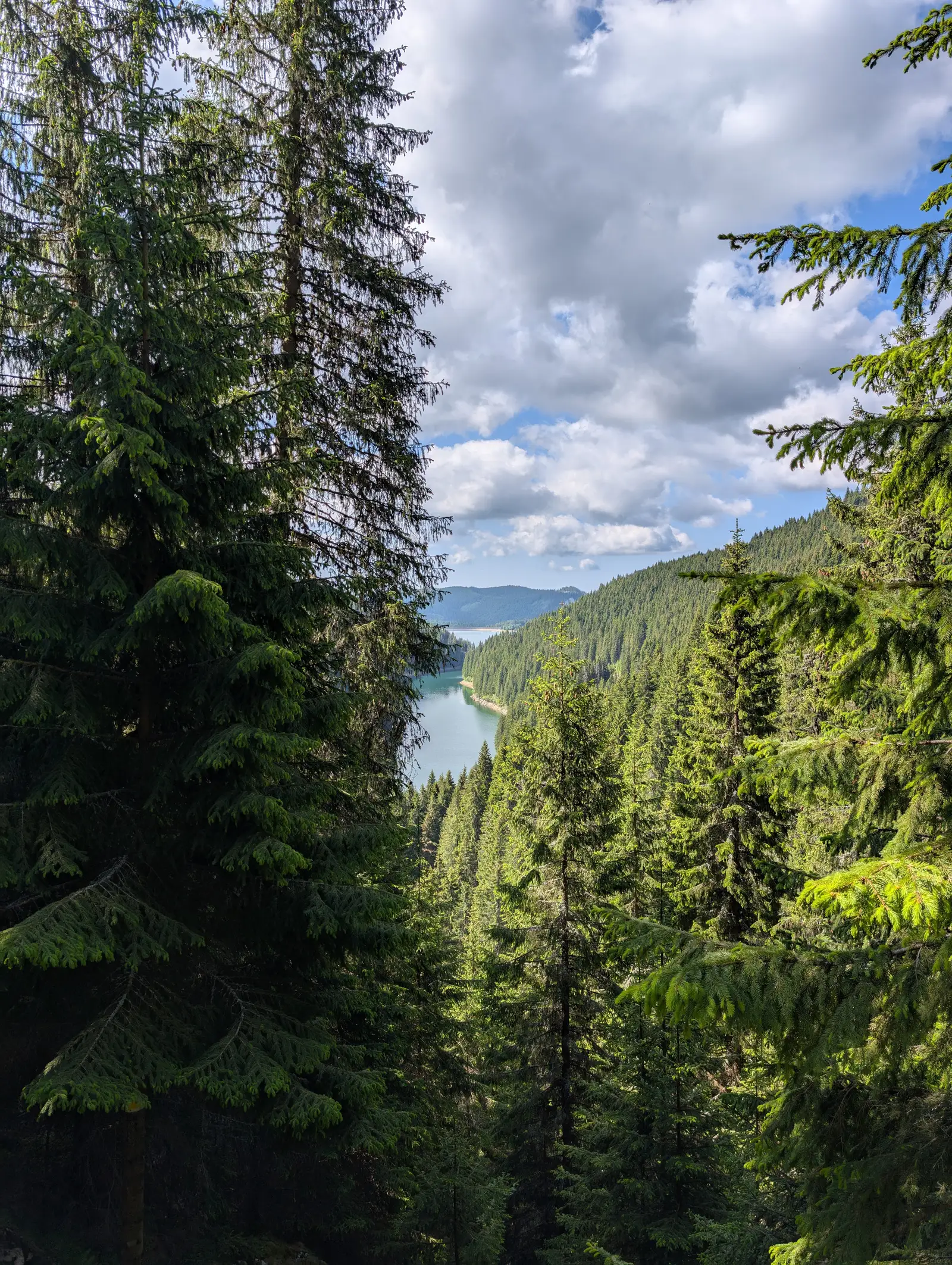 Circuit Lacul Ialomița – Șaua Strungulița – Refugiul Strunga – Cabana Padina