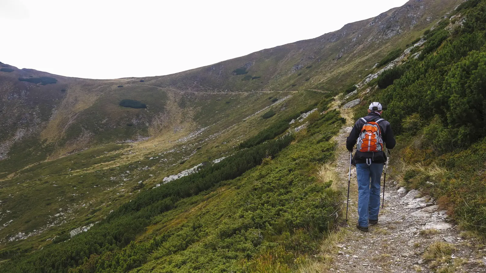 Borşa - V. Negoiescu Mare - Şaua Galaţului