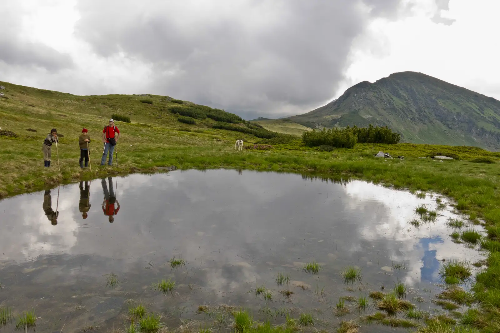 Între Anieşe - Şaua Între Izvoare - V. Anieşul Mic