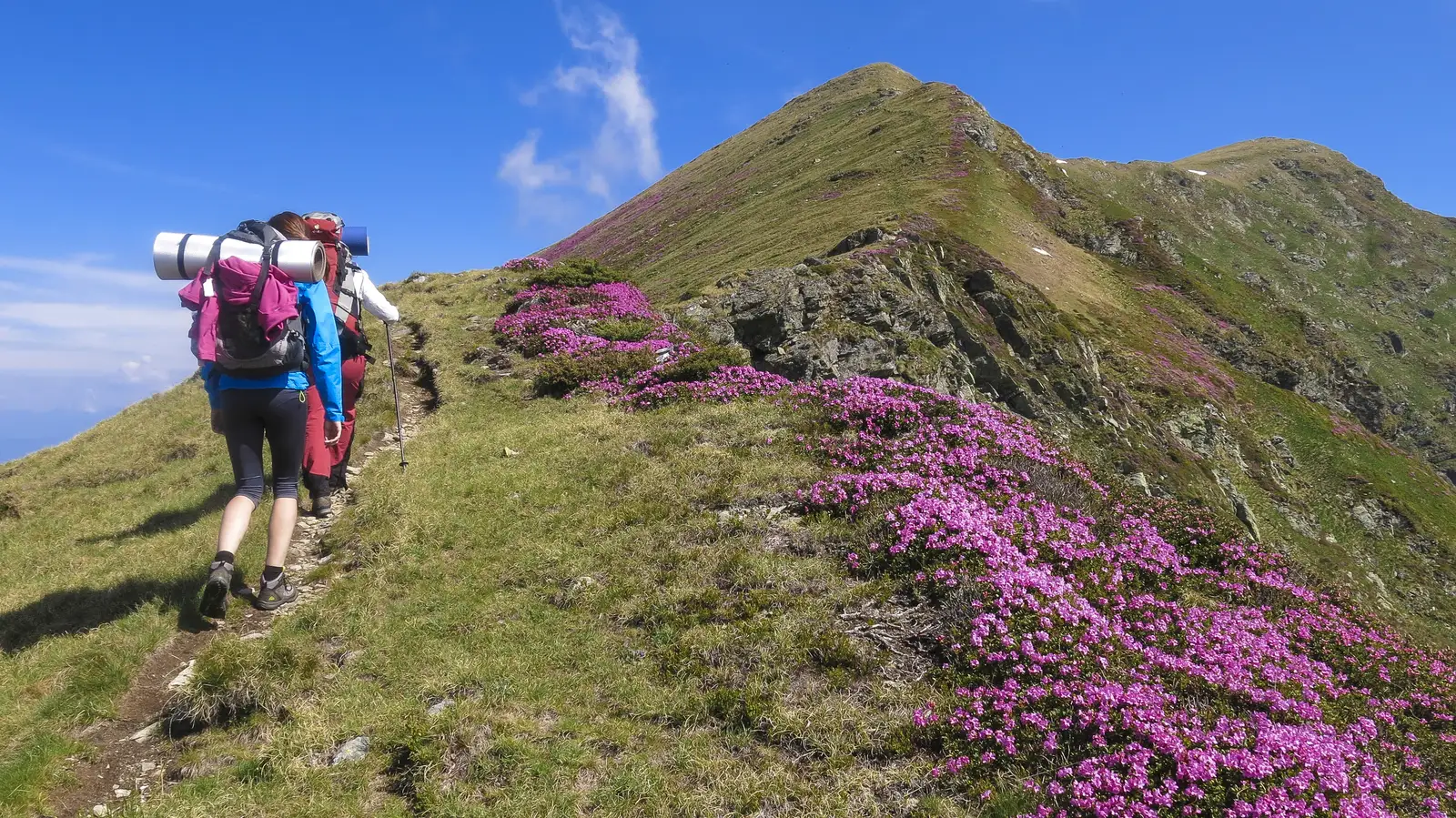 Borşa - Vf. Pietrosul Rodnei - Tarniţa La Cruce
