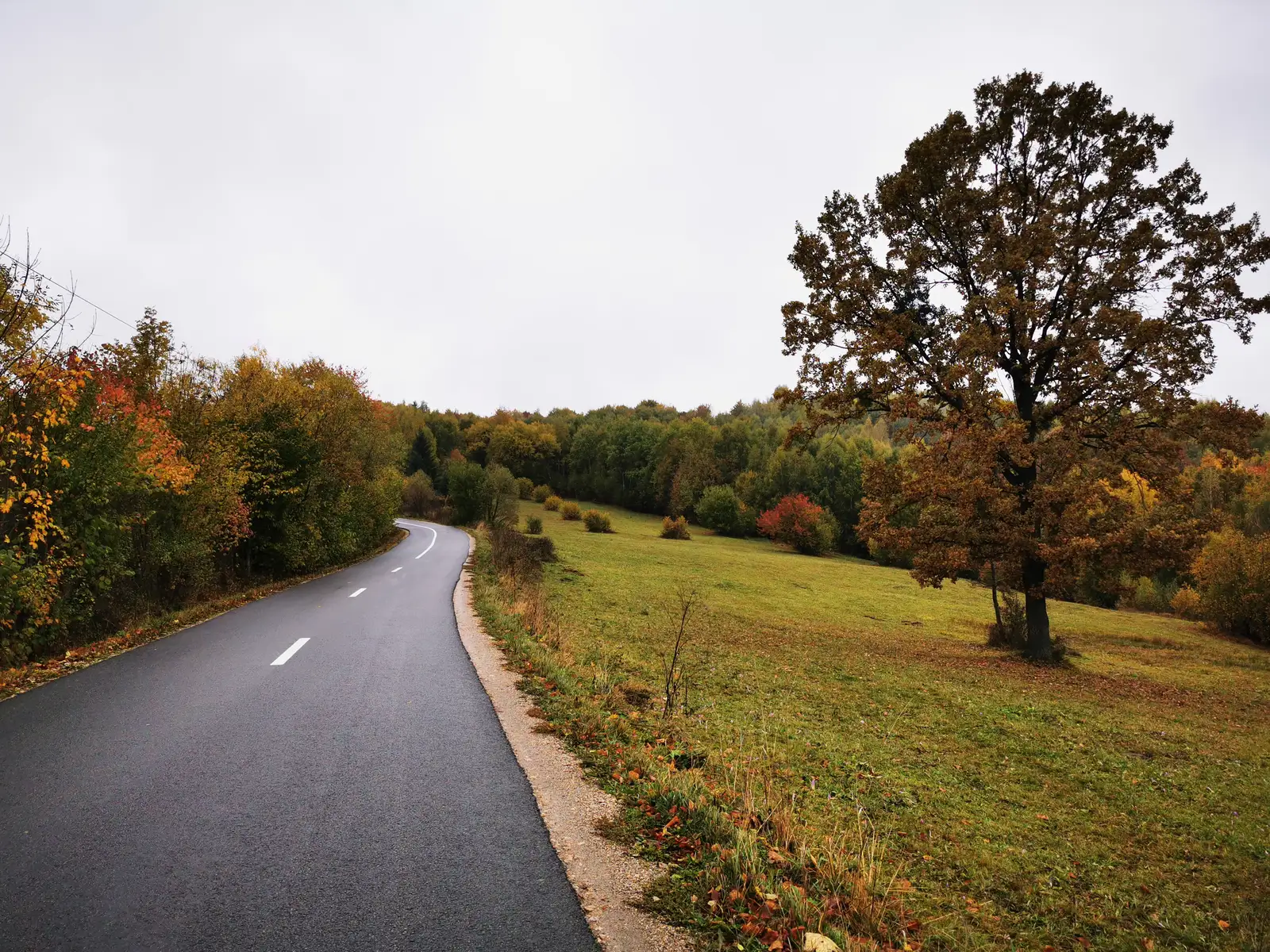 Cluj-Napoca - Aghireşu - Căpuşu Mare - Floreşti - Cluj-Napoca