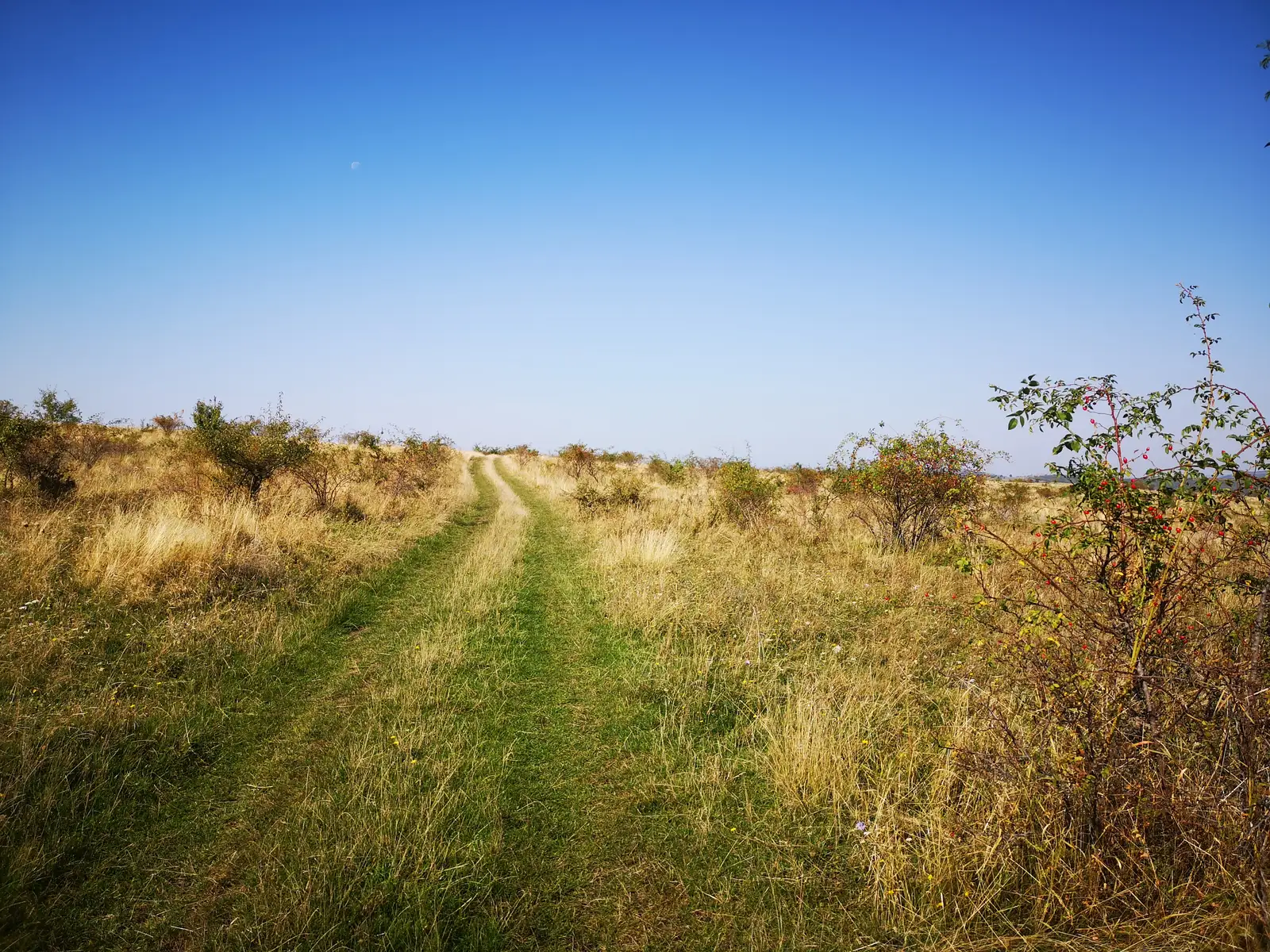 Cluj-Napoca - Măcicaşu - Chinteni - Cluj-Napoca