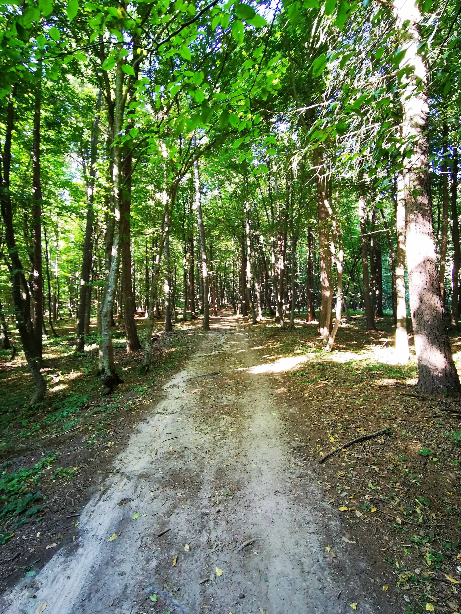 Cluj-Napoca - Cartierul Făget - Vârful Peana - Cluj-Napoca