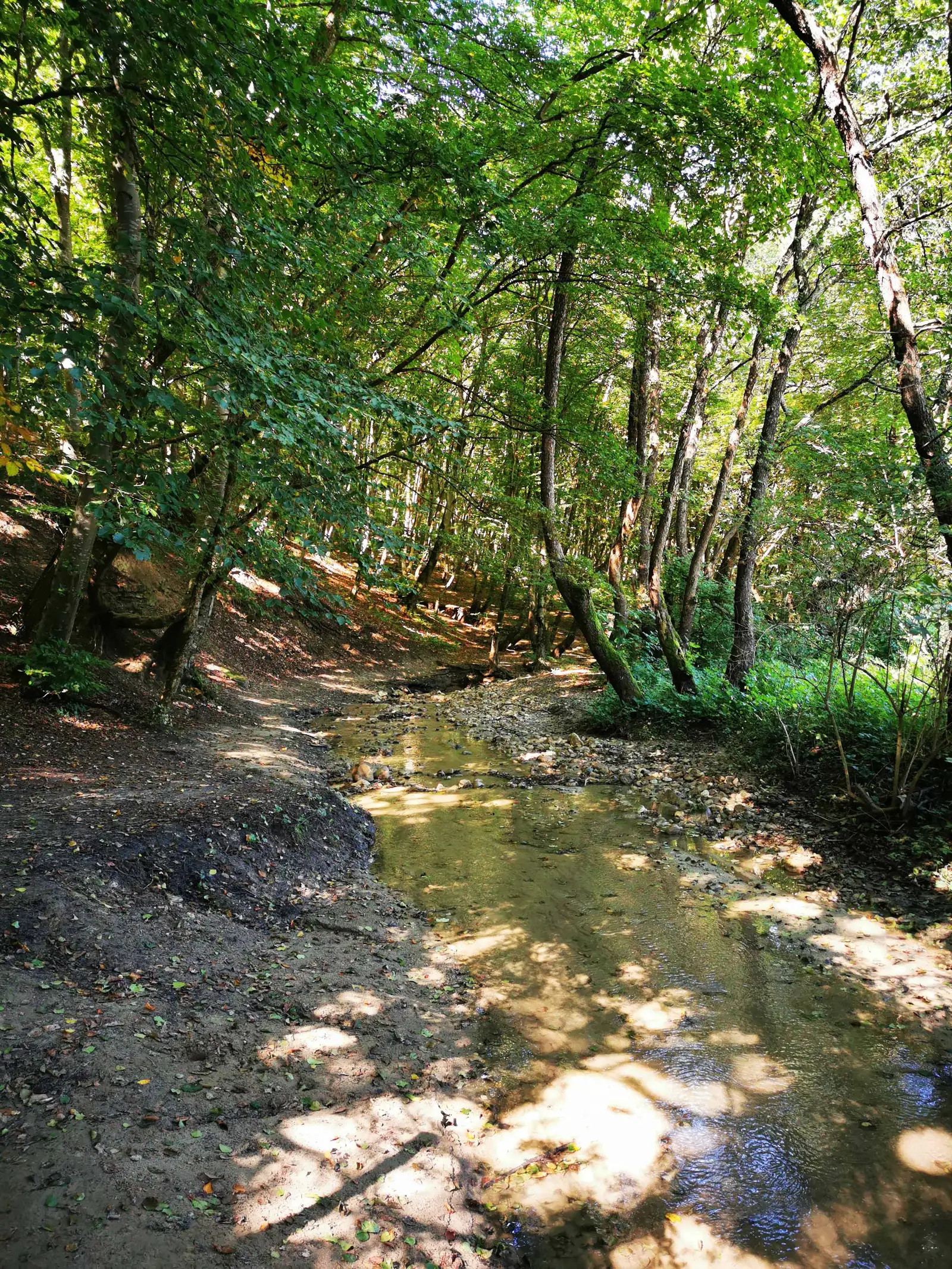 Feleacu - Dealul Socului - Feleacu