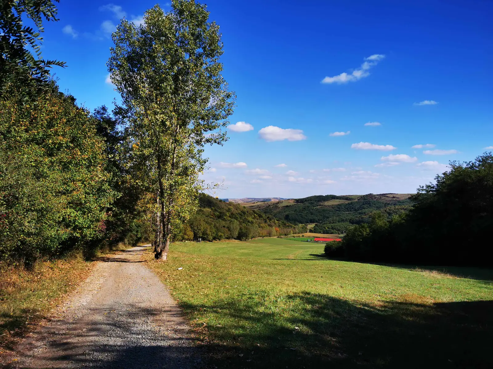 Vaida-Cămăraş - Petea - Vaida-Cămăraş