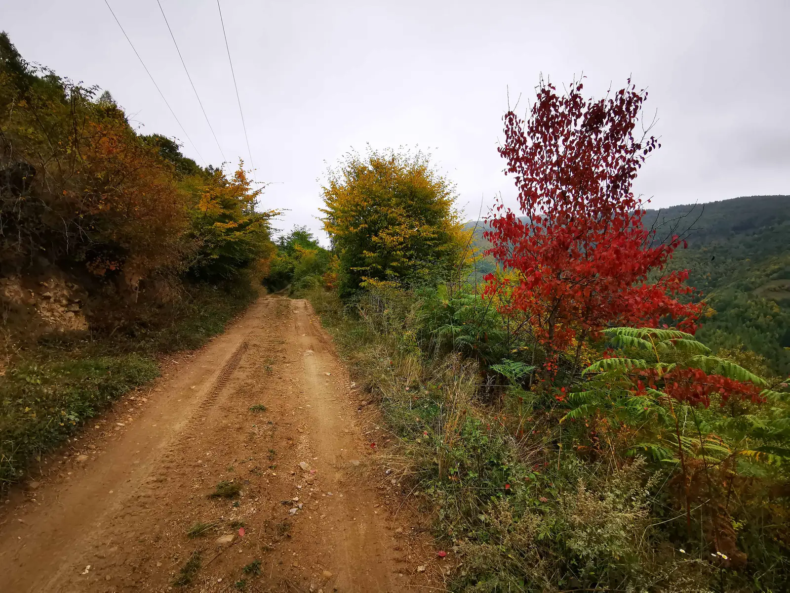 Uzina - Valea Râşca Mare - Uzina