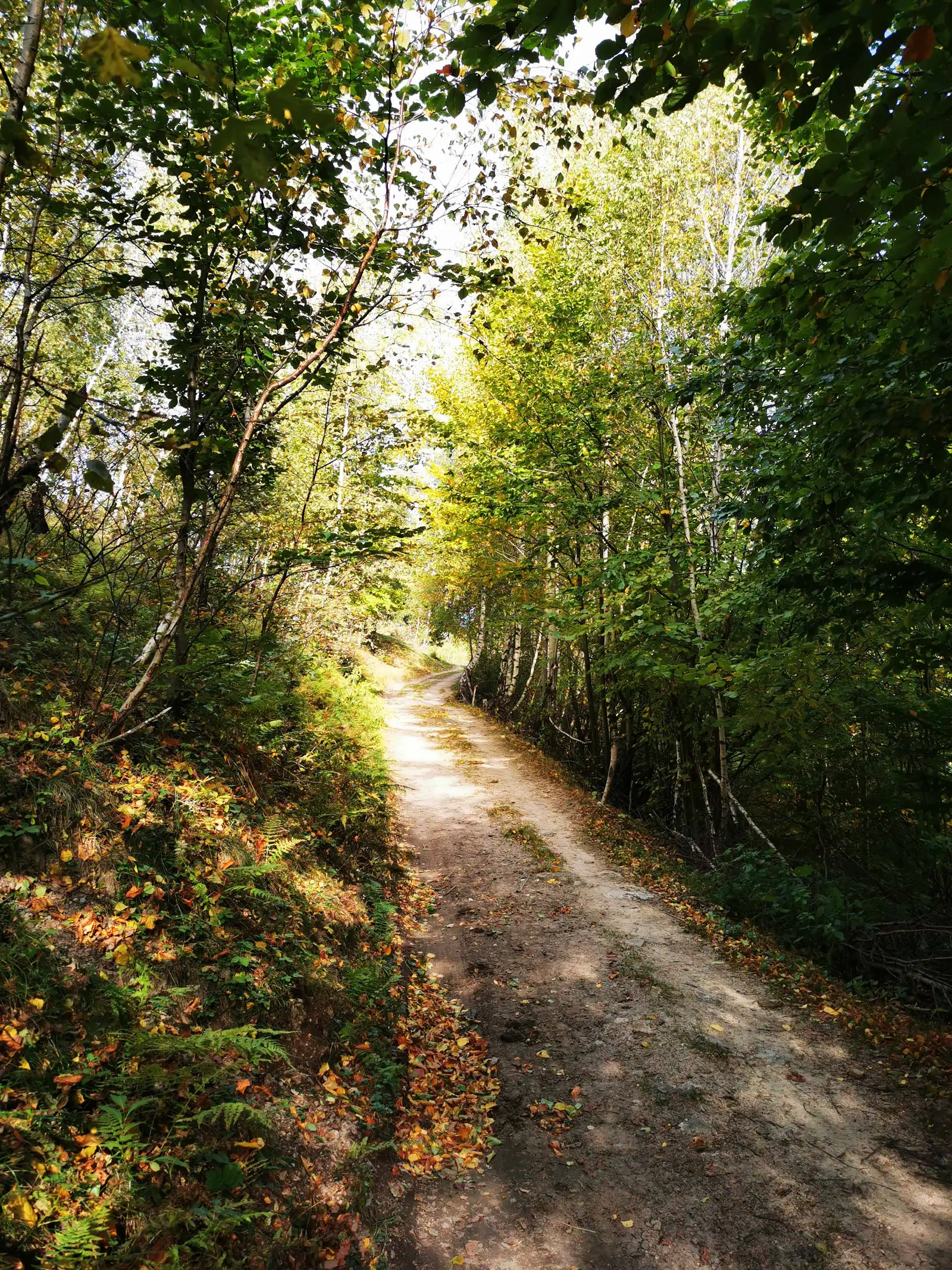 Mănăstirea Muntele Rece - sub Vârful Măgura - Mănăstirea Muntele Rece