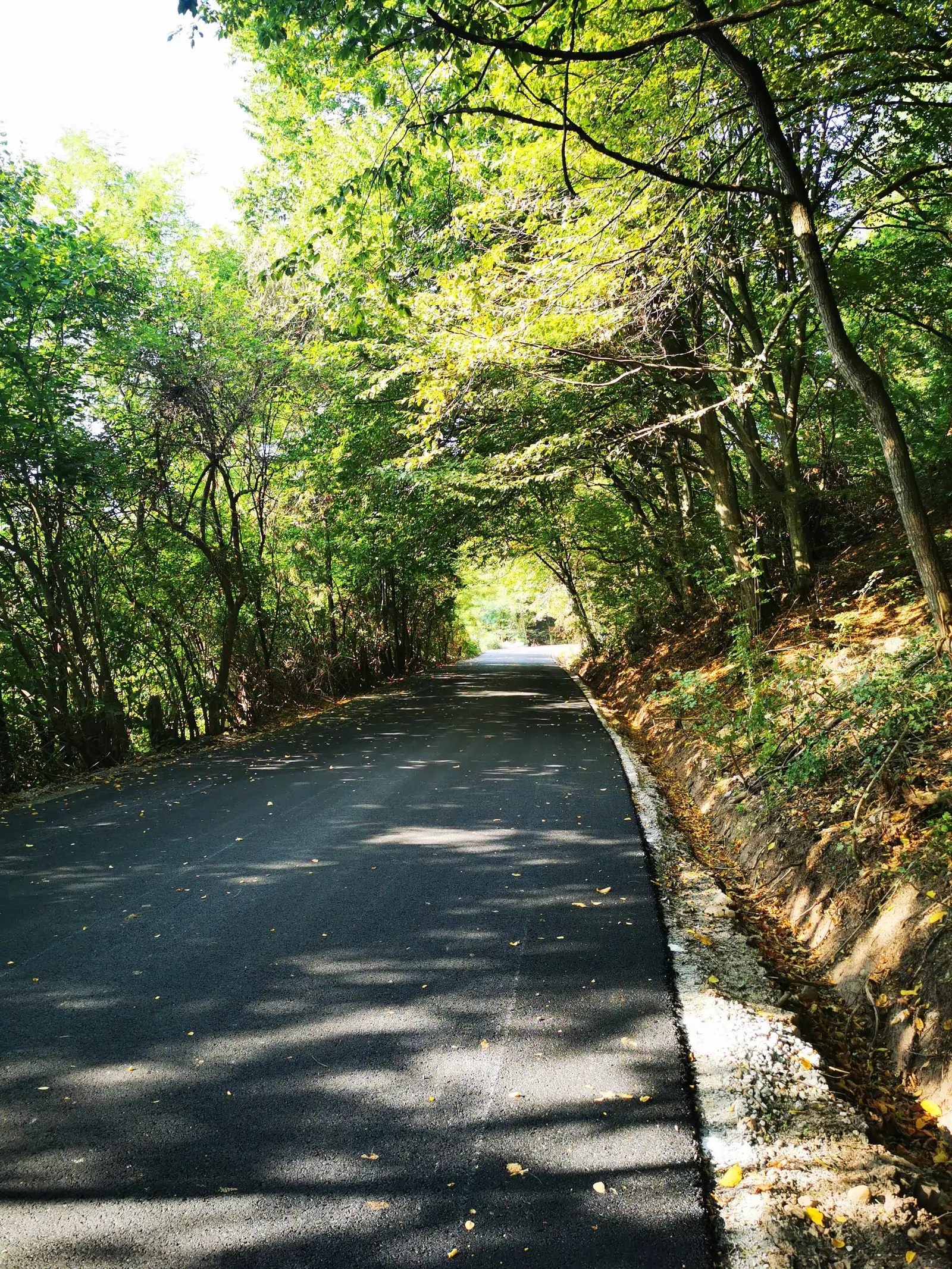 Luna de Sus - Someşul Rece - Luna de Sus