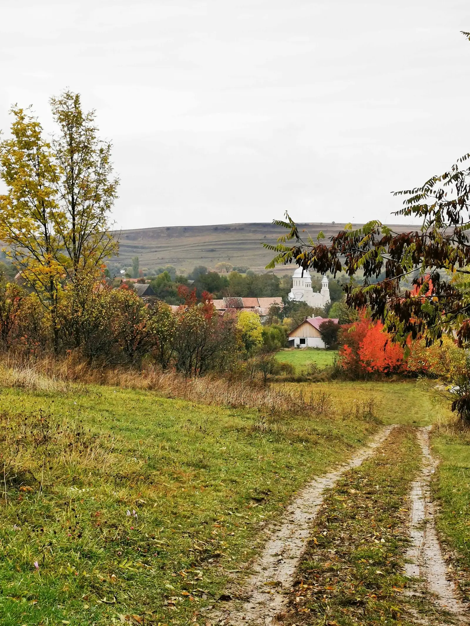 Căpuşu Mare - Huedin - Rîșca - Căpuşu Mare