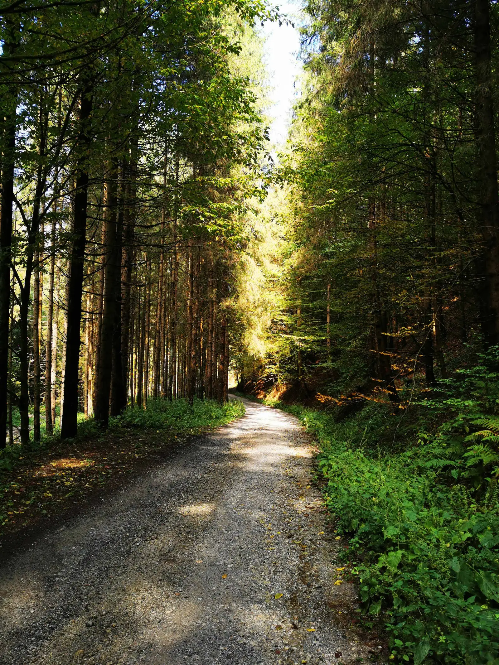 Negreni - Valea Sărăcelului - Negreni