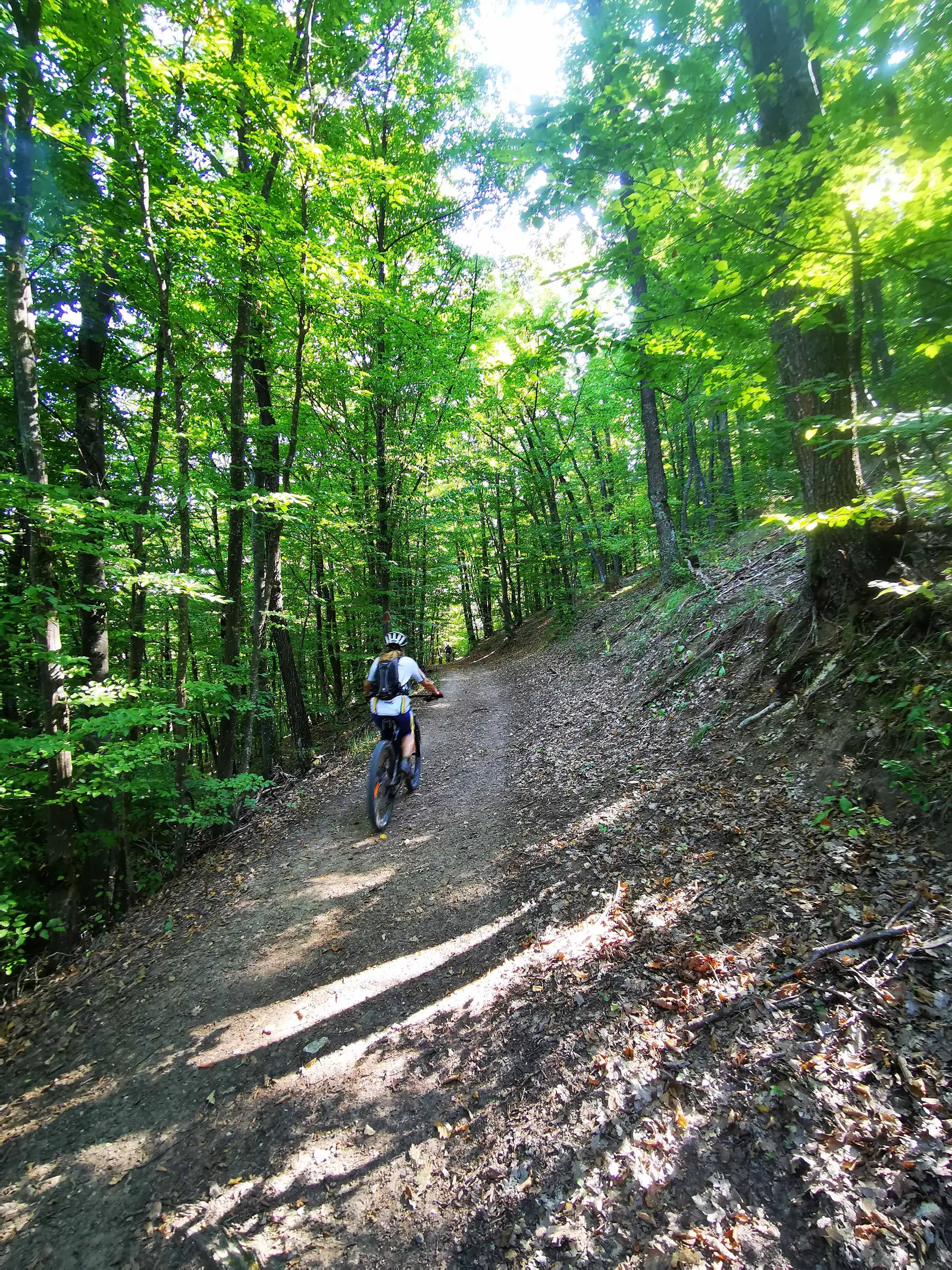 Lacul de Acumulare Filea - Cheile Borzeşti - Buru - Lacul de Acumulare Filea