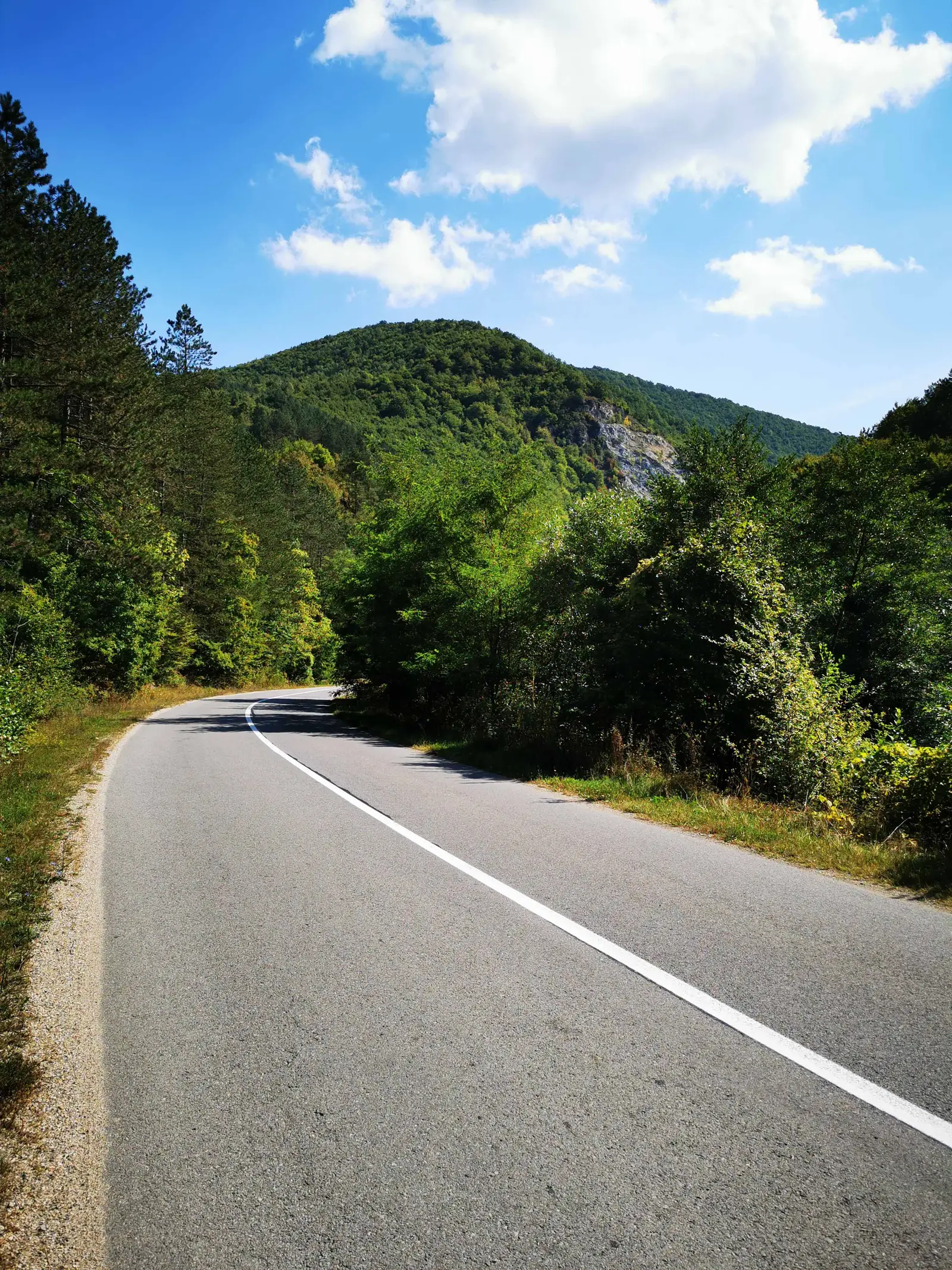Lacul de Acumulare Filea - Băişoara - Surduc - Lacul de Acumulare Filea
