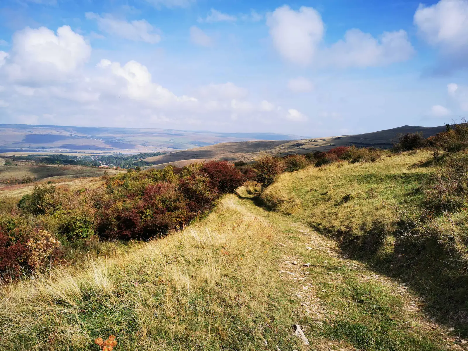 Lacul de Acumulare Filea - Agriş - Lacul de Acumulare Filea