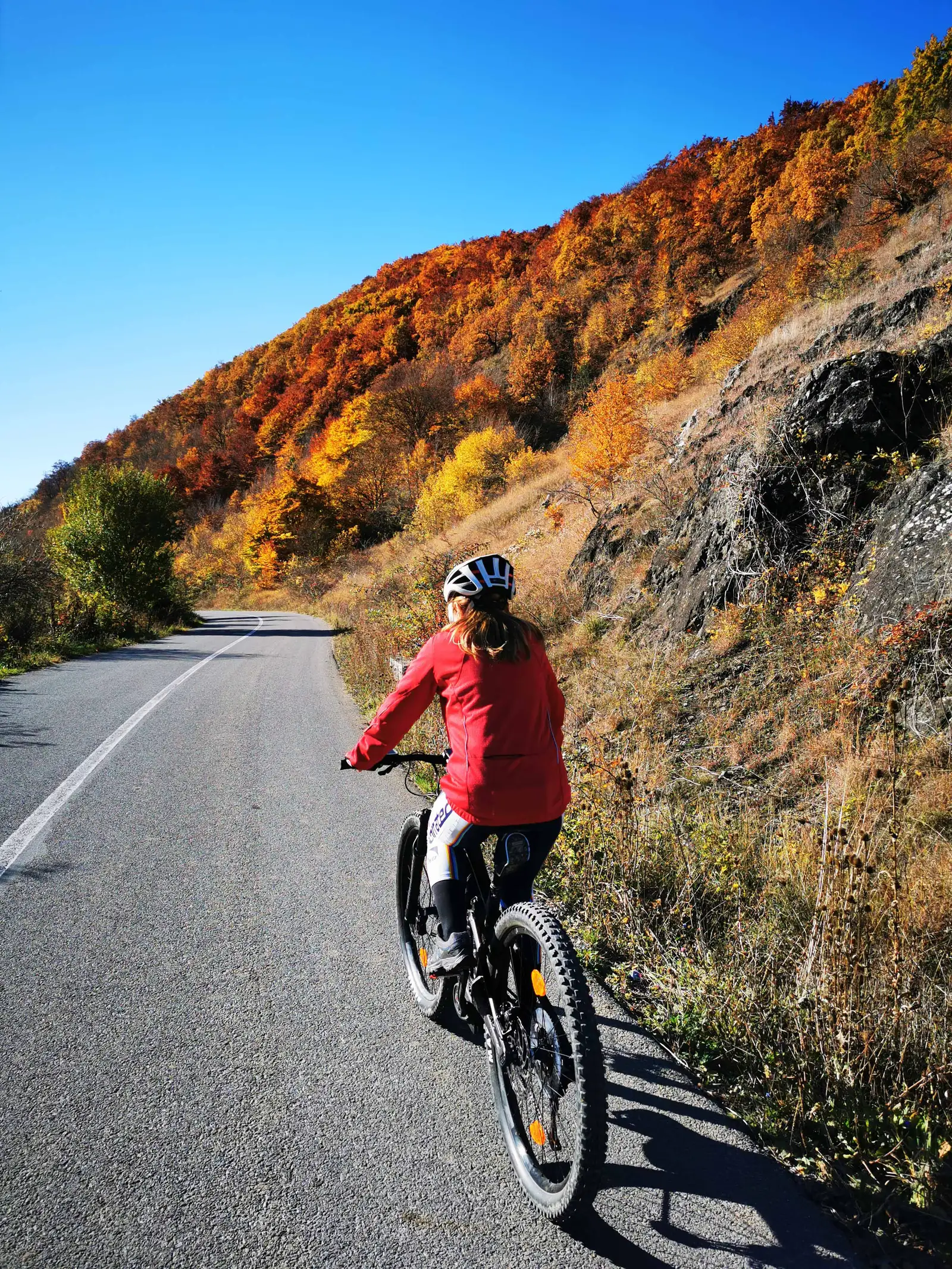 Moldoveneşti - Piatra Secuiului - Moldoveneşti