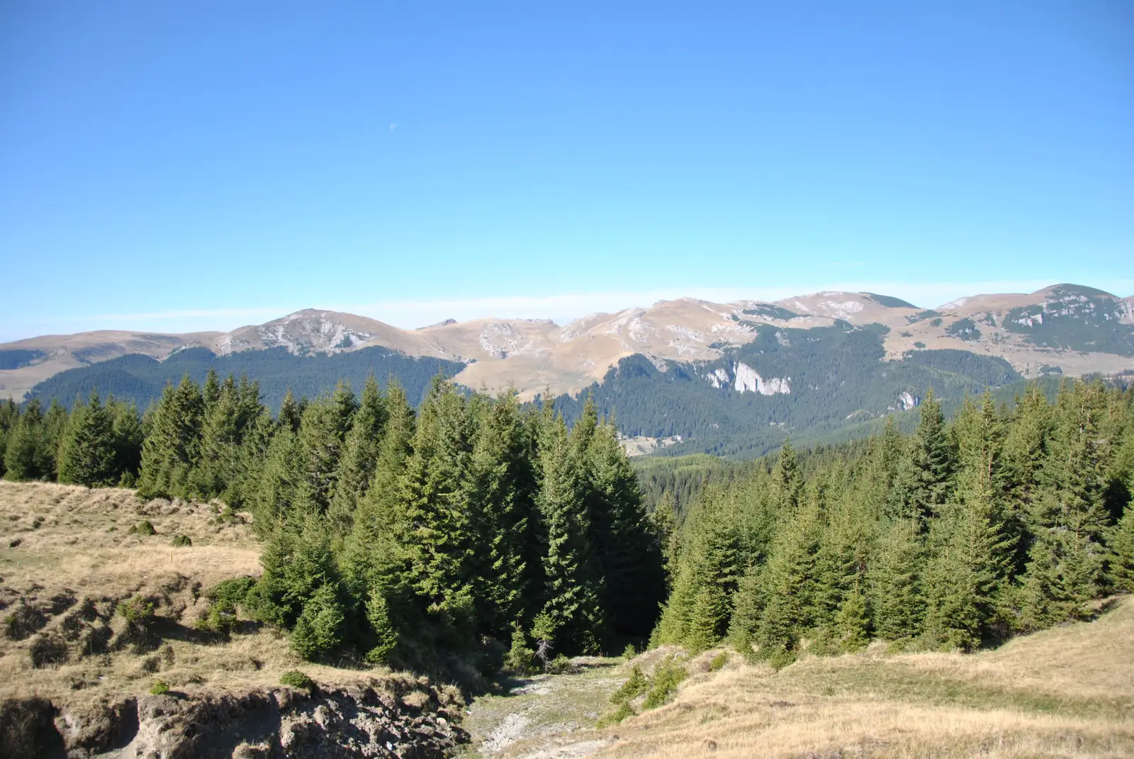 Sinaia – Şaua Vârfului cu Dor – Cabana Padina