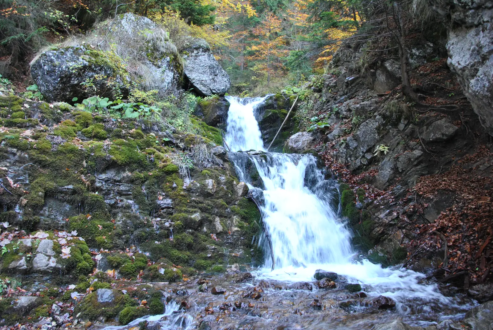 Poiana Ţapului - Cascada Urlătoarea