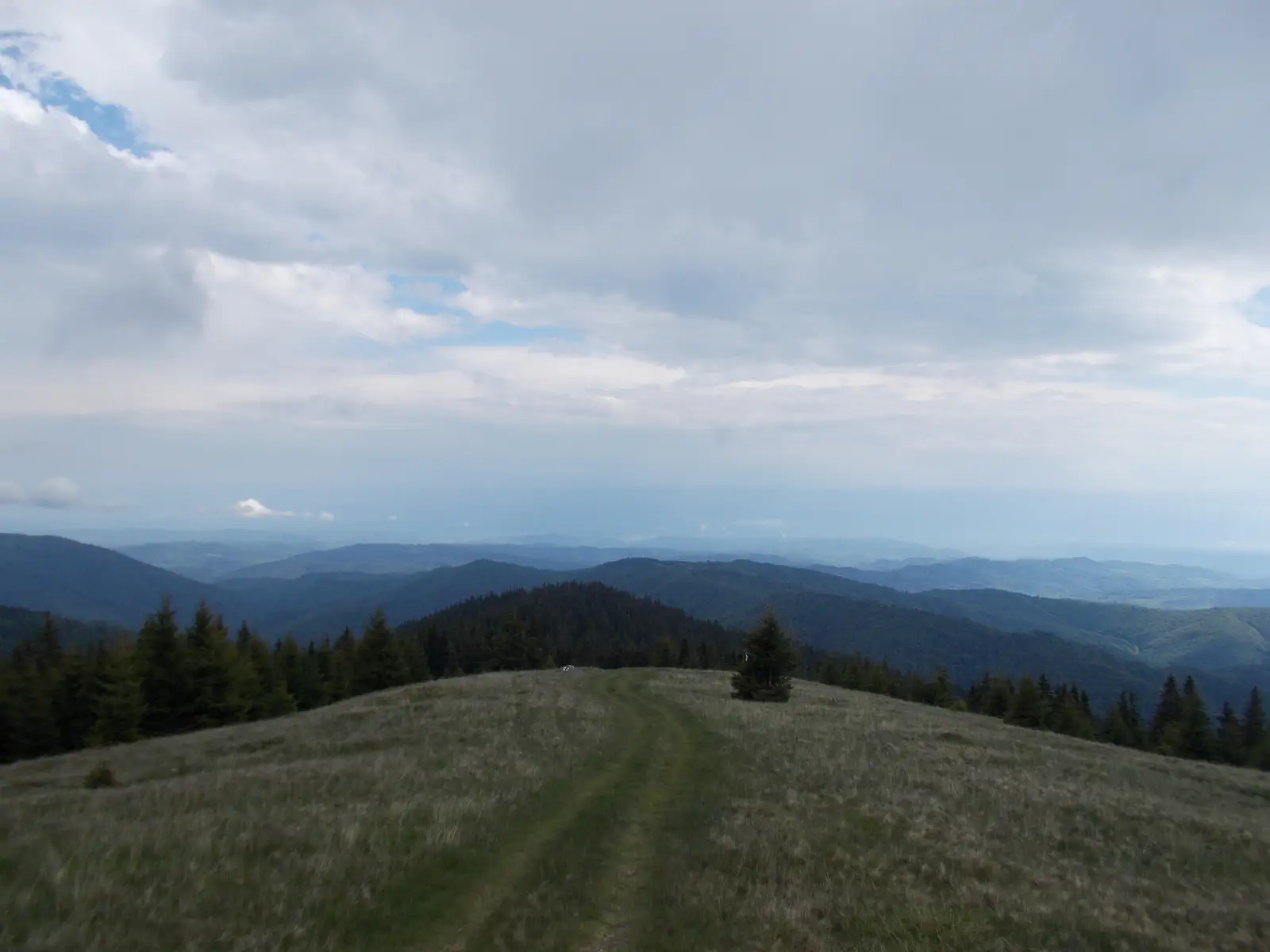 Cetăţuia - Marginea Domnească - Cabana Leaota