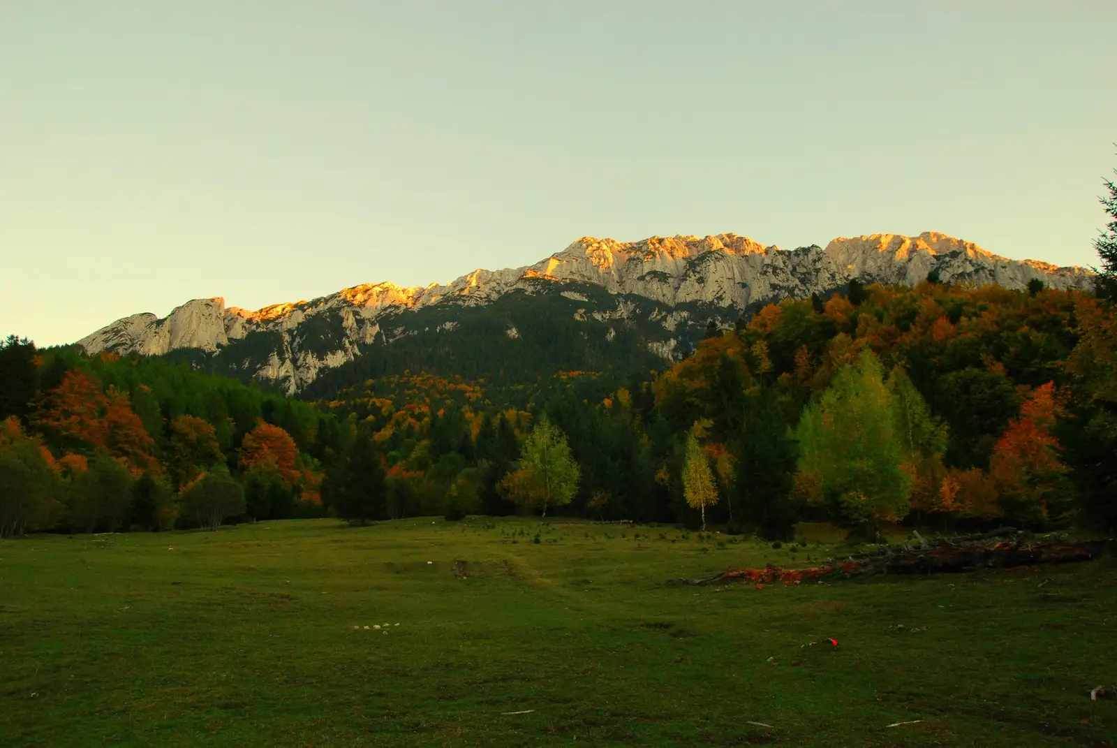 Valea Bârsa Mare - Refugiul Diana