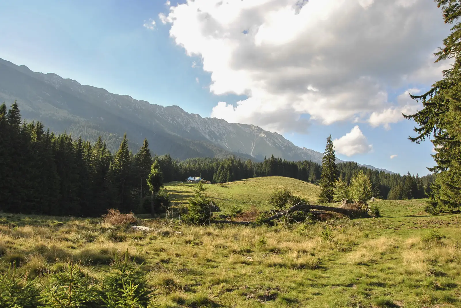 Podu Dâmboviţei - Poiana Brusturet - Refugiu Grind 1